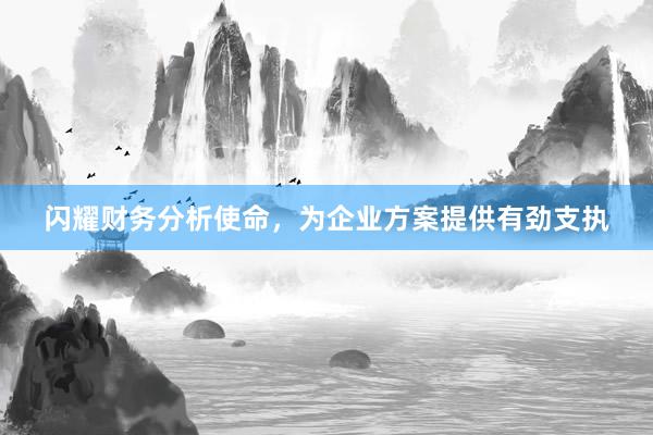 闪耀财务分析使命，为企业方案提供有劲支执