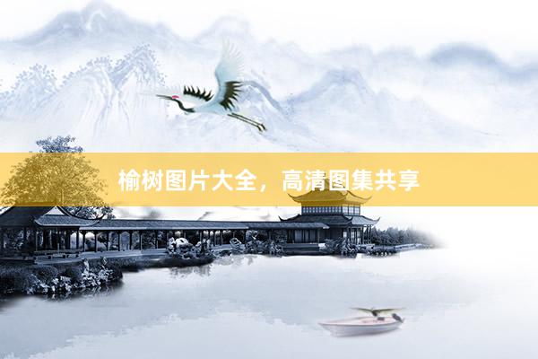 榆树图片大全，高清图集共享